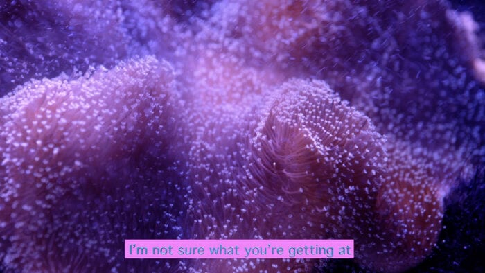Image of a purple sea plant from A Room with a Coconut View
